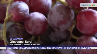 SETTESOLI TAKES ON THE MARKET CHALLENGE, WILL ALSO PRODUCE DEALCOHOLIZED AND LOW-ALCOHOL WINE