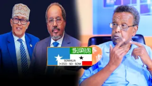 «Сомалиленду необходима независимость в сфере коммуникаций и собственный ключ», — заявил политик ...