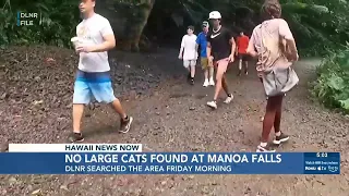 No ‘large cat-like animal’ found at Manoa Falls