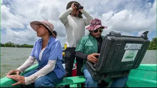 On International Manatee Day, UJAT works to preserve this species