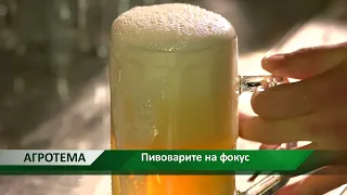 Агротема: Пивоварите на фокус