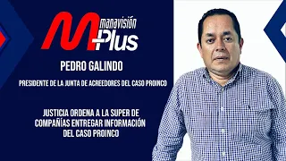 Proinco Case: What will happen to the creditors? Pedro Galindo explains the new actions