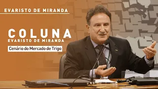 Evaristo de Miranda: Wheat market outlook