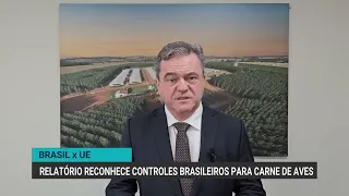 Brazil vs. EU: Report recognizes Brazilian poultry meat controls