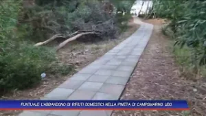 PUNTUALE L’ABBANDONO DI RIFIUTI DOMESTICI NELLA PINETA DI CAMPOMARINO LIDO