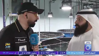 معهد الكويت للأبحاث .. افتتاح أول مفقسة بحرية لدعم الأمن الغذائي