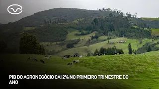 Brazilian agribusiness GDP falls 2% in the first quarter of the year