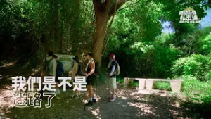 無止盡的上坡路！客家朝聖之路的考驗｜《細細山路私密達》EP3預告