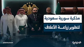 A Syrian-Saudi memorandum to study projects for farms and feed mills... and the Ministry of Finan...