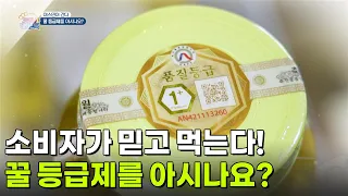 [야스민이 간다] 소비자가 믿고 먹는 꿀 등급제를 아시나요?  [생방송 굿모닝 대한민국] | KBS 261002 방송