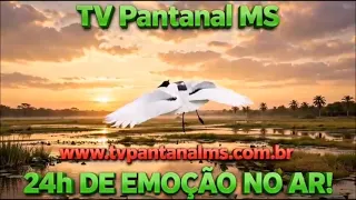 VINHETA 16 ANO 2026