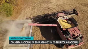 Colheita nacional da soja atinge 33% do território nacional