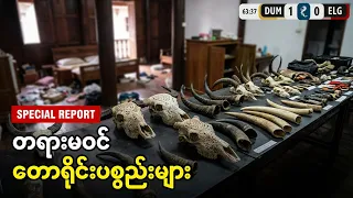 လာအို လွမ်ပရာဘွန်းမြို့တွင် တရားမဝင် တောရိုင်းတိရစ္ဆာန်ပစ္စည်းများ ဖမ်းဆီးရမိ