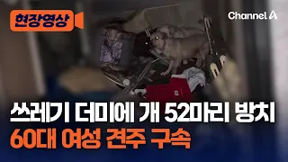 52 Dogs Neglected in Trash Pile... 60-Year-Old Female Owner Arrested [On-Site Footage] / Channel A