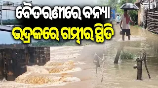 Bhadrak Braces for Major Flood as Baitarani Surges, Salandi Overflows | Kalinga TV