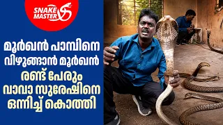 ജസ്റ്റ് മിസ്സ്‌, രണ്ട് മൂർഖൻ പാമ്പുകൾ ഒന്നിച്ച് കൊത്തി | Double Cobra Rescue | Snakemaster EP 1202