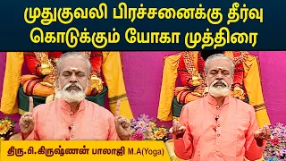 முதுகுவலி பிரச்சனைக்கு தீர்வு கொடுக்கும் யோகா முத்திரை | Krishnan Balaji | MEGA TV
