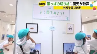 Preschoolers visit the "Lito Exhibition" of leaf paper-cutting art: "It was incredibly detailed" ...