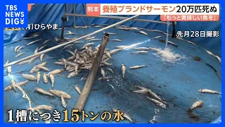 【令和8年熊本地震】20万匹のブランドサーモン死ぬ…それでも「もっと美味しい魚を」地震から1か月　復旧に挑む養殖業者　全国から支援も｜TBS NEWS DIG