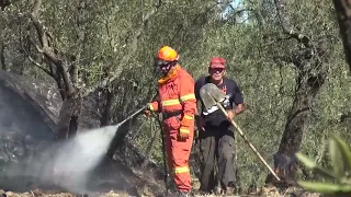 Heat and fire risk, Tuscany extends the ban on burning plant waste
