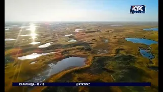 Experts explain the odds of encountering a tigress near Lake Balkhash