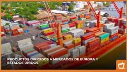 Recycled material exports reach $40 million