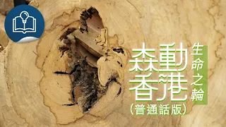 Moving Hong Kong (Mandarin Version): The Wheel of Life
