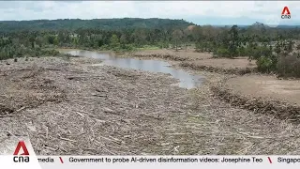 Permit revocations follow Sumatra disaster, yet forest exploitation continues