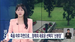 죽음 이후 자연으로...장례의 새로운 선택지 '산분장'