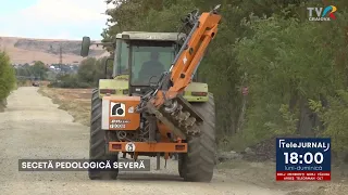 SEVERE SOIL DROUGHT