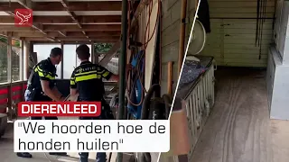 Politie onderzoekt mogelijke misstanden bij hondenopvang in Almere | Omroep Flevoland