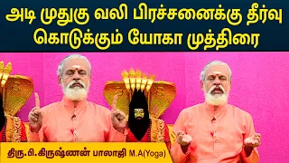 அடி முதுகு வலி பிரச்சனைக்கு தீர்வு கொடுக்கும் யோகா முத்திரை | Back Pain | Krishnan Balaji | MEGA TV
