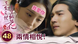 得償所願！癡情太子終於等來女帝的愛 滿腔情慾徹底傾瀉而出 將她壓在身下索求～【三生三世十里桃花】精華 EP48-3 楊冪、趙又廷、迪麗熱巴、高偉光、張智堯 @ctvdrama_classic