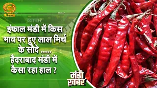 Mandi Khabar: इंपाल मंडी में किस भाव पर हुआ लाल मिर्च का सौदा? हैदराबाद मंडी में क्या रहा हाल?