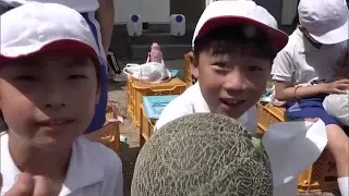 "The Melon Tastes Amazing": About 50 Elementary Students Experience Greenhouse Melon Harvesting o...