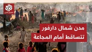خطر المجاعة يتوسع في ولاية دارفور بجنوب السودان بعد موجة نزوح عقب سيطرة الدعم السريع على الفاشر