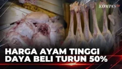 Chicken Prices in Bandung Hit Rp43,000 per Kg, Traders Report 50% Drop in Purchasing Power | KOMP...