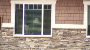 Consensual sex between residents, employees in long-term care raises concerns