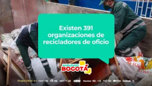 Recicladores de oficio: aliados clave en la gestión de residuos de Bogotá | Hablemos Bogotá