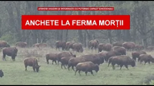 FERMA MORȚII A LUAT 10 000 000  DE LEI DE LA APIA