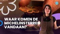 Het NEUSJE van de ZALM: restaurants met een MICHELINSTER