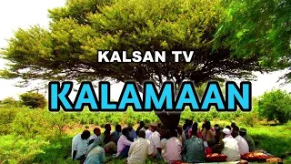 KALAMAAN 29 JULY 2026