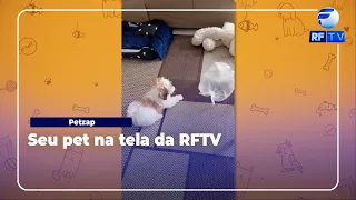 Pet Zap