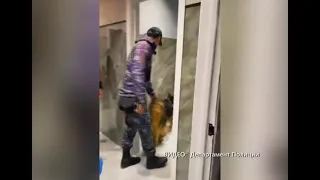 Полиция қызметкерлері қаладағы түнгі клубтан бірқатар заңбұзушылық анықтады