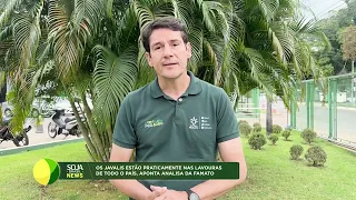 'Wild boars are all over Brazil and are increasingly seen where there’s soy,' says Famato analyst
