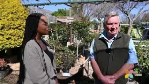 Жизнь в городе: Питомник горных ручьев