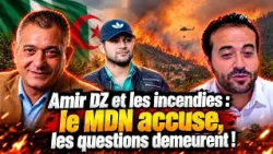 Amir DZ et les incendies : le MDN accuse, les questions demeurent !