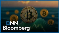 Are institutions adopting stablecoins?