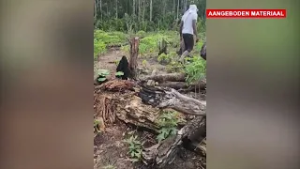 Vermiste Melvin van der Tap veilig teruggevonden