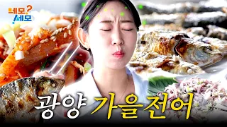 Tasting the gizzard shad 🐟—said to bring even a runaway daughter-in-law back home—at Mangdeok Por...